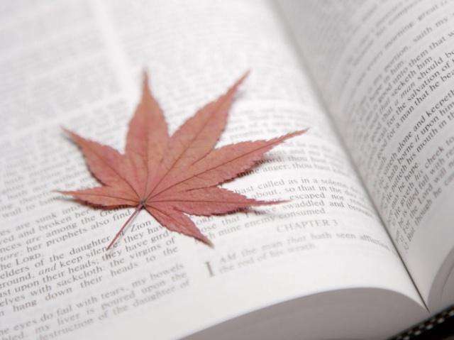 通過論文查重有什么方法？